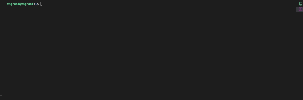 _images/datadog.yaml_config_file.gif