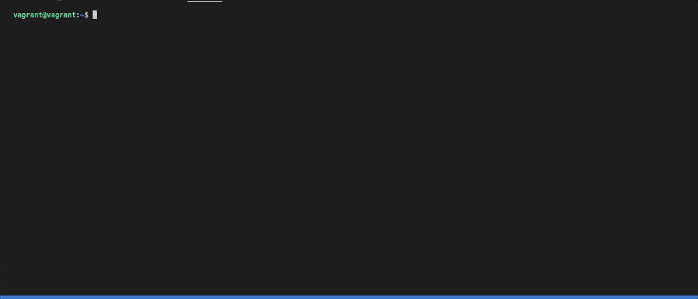 _images/datadog_agent_status.gif
